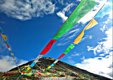 西藏拉萨市两级人民法院破解执行难工作取得阶段性成果